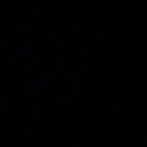 Meet your Posher, Hector